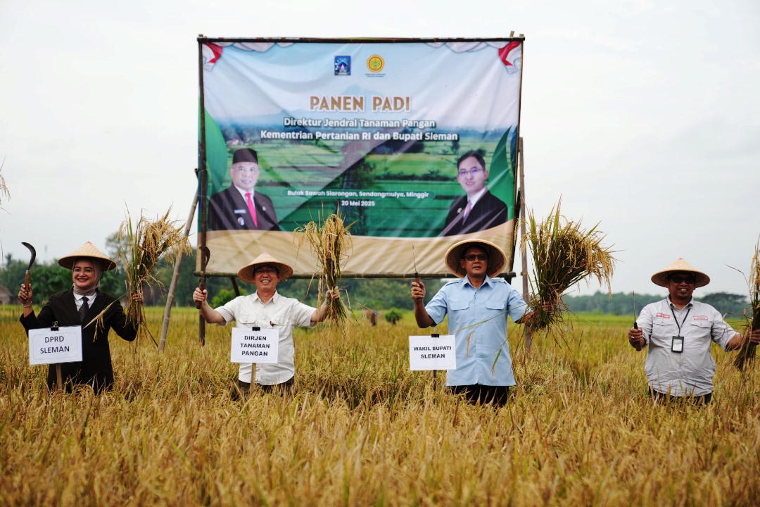 Sleman Jadi Contoh Nasional, Dirjen Kementan: Stok Beras RI Tertinggi dalam 57 Tahun