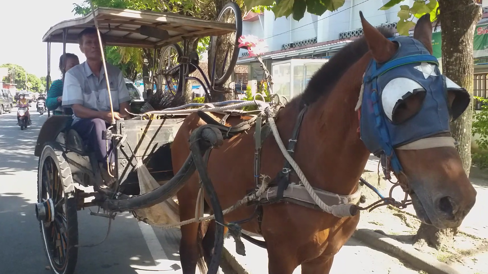 Kelangkaan Angkutan Andong Yang Terancam Punah  