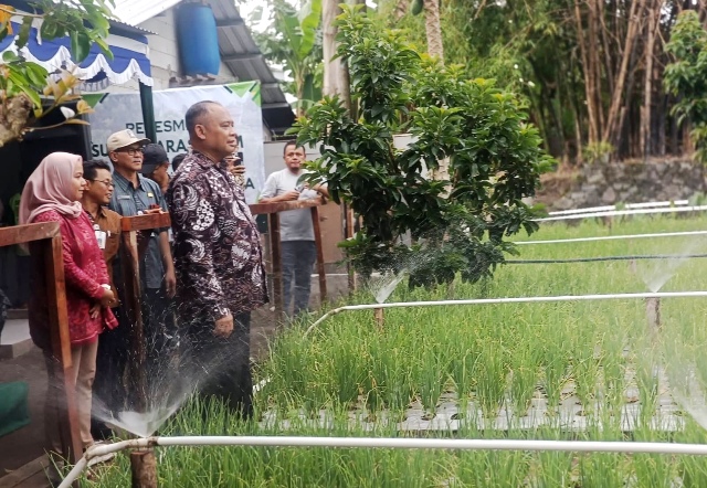 Panen Perdana Bawang Merah Condongcatur, Bupati Sleman Gaungkan Lumbung Pangan Mataram