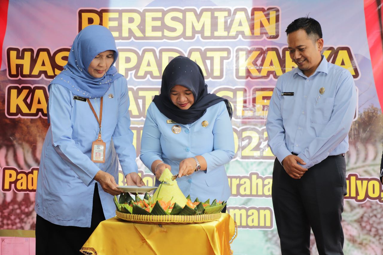 Bupati Sleman Resmikan Hasil Padat Karya di Balong 