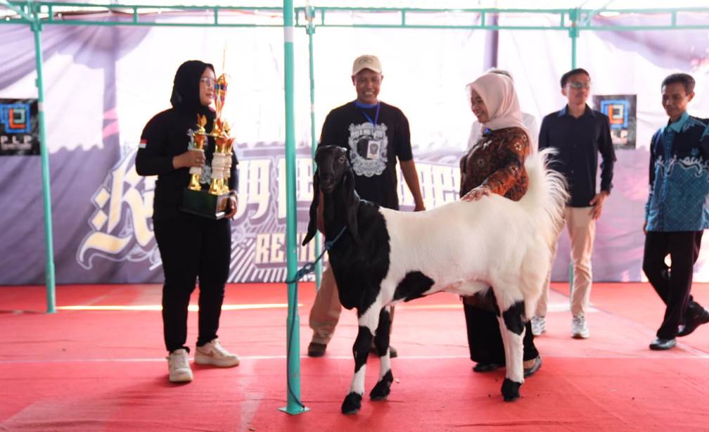 Bupati Sleman Buka Kontes Kambing PE Ras Kaligesing Regional Jawa di Kalasan