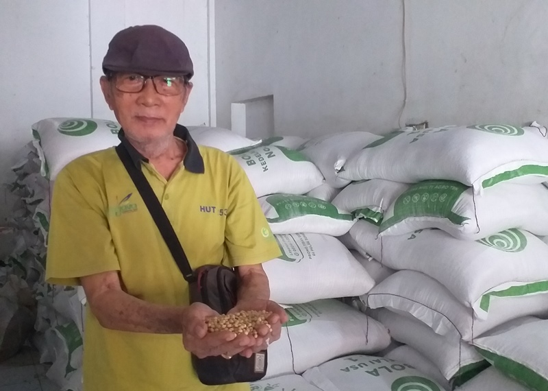 Belajar dari  Gonjang Ganjing Harga,   Pemerintah Harus Galakkan Petani Tanam Kedelai