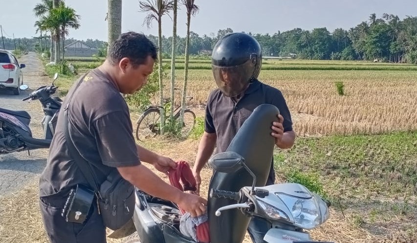 Terekam CCTV, Pencuri Spesialis Gabah Jemuran di Galur Kulonprogo Diringkus Polisi.