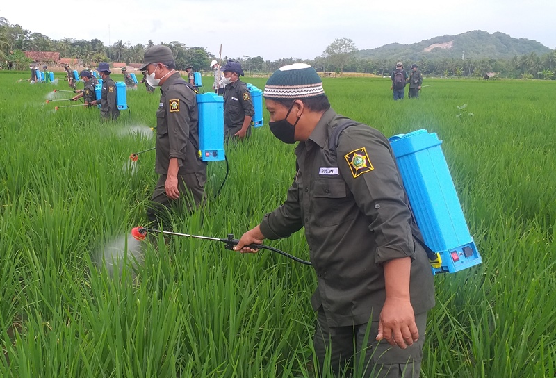 Ditjen Tanaman Pangan, Siapkan Petani Hadapi  Iklim Ekstrim