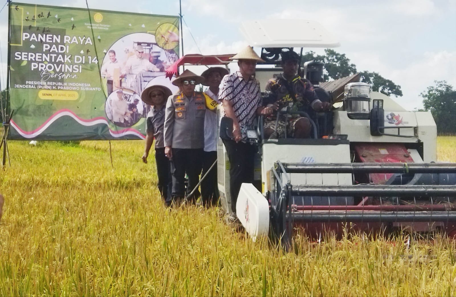 Sleman Ikut Panen Raya Serentak Nasional, Presiden Prabowo Hadir Secara Daring