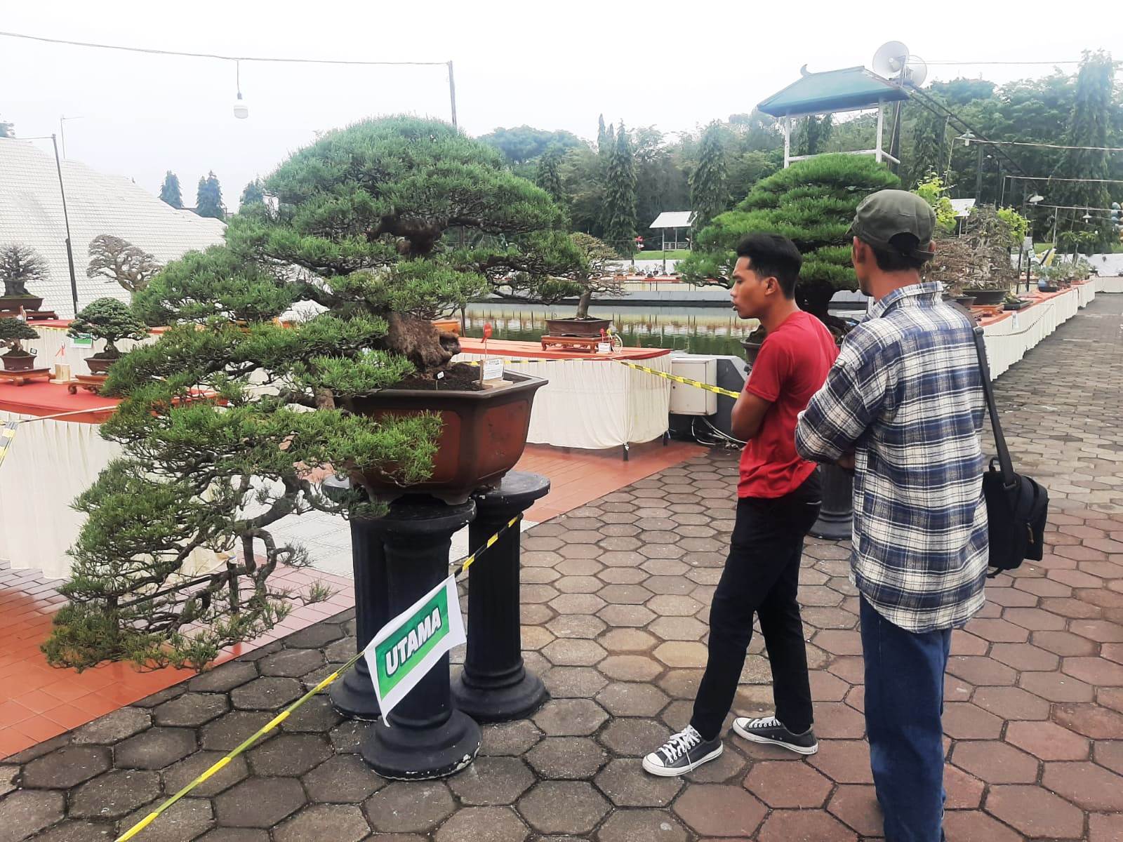 Sambut Nataru Monjali Gelar Pameran Bonsai
